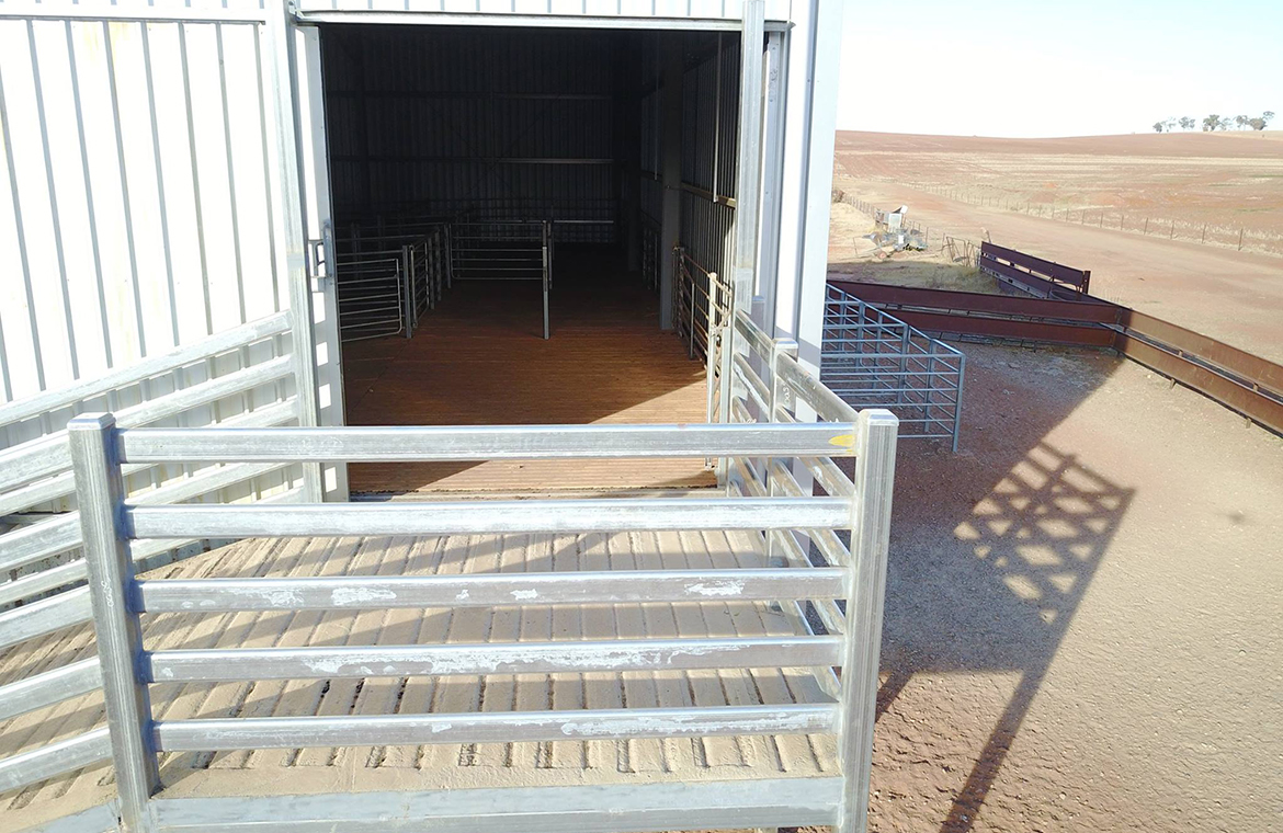 Shearing shed upgrades